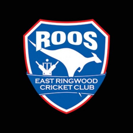 Team Shop Banners ERCC_0x4804